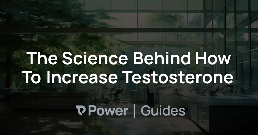 Header Image for The Science Behind How To Increase Testosterone