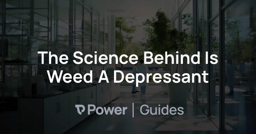 Header Image for The Science Behind Is Weed A Depressant