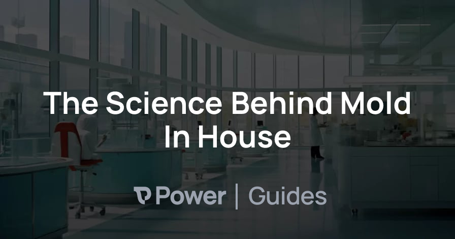 Header Image for The Science Behind Mold In House