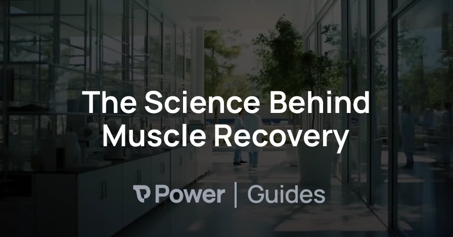 Header Image for The Science Behind Muscle Recovery