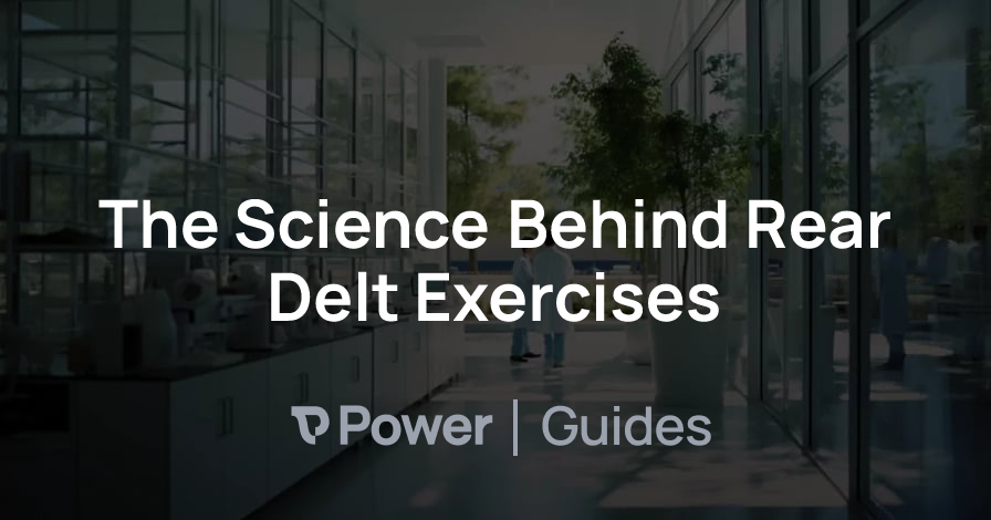 Header Image for The Science Behind Rear Delt Exercises