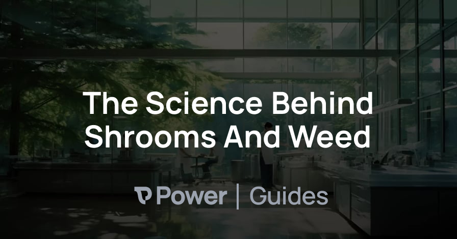 Header Image for The Science Behind Shrooms And Weed