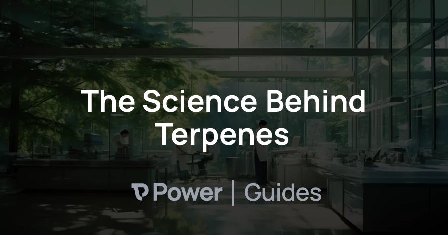 Header Image for The Science Behind Terpenes