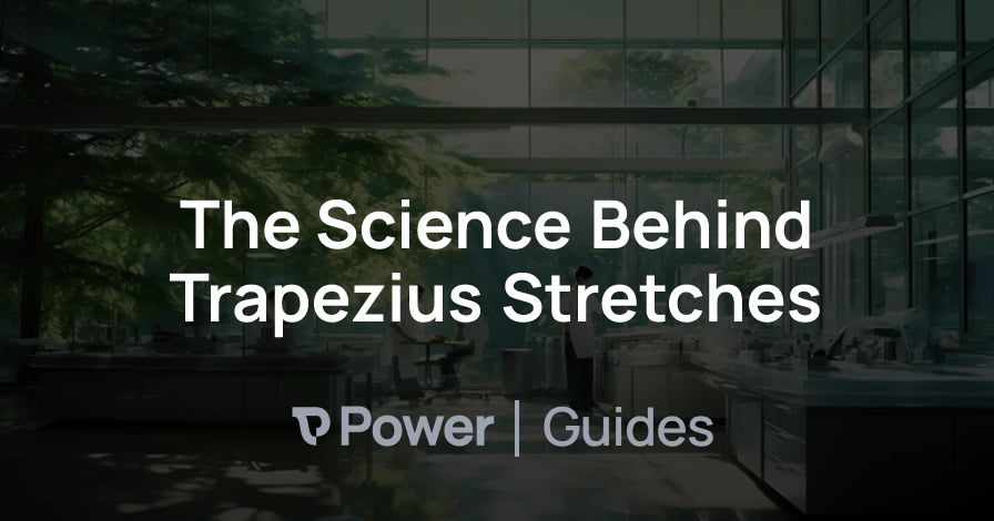 Header Image for The Science Behind Trapezius Stretches