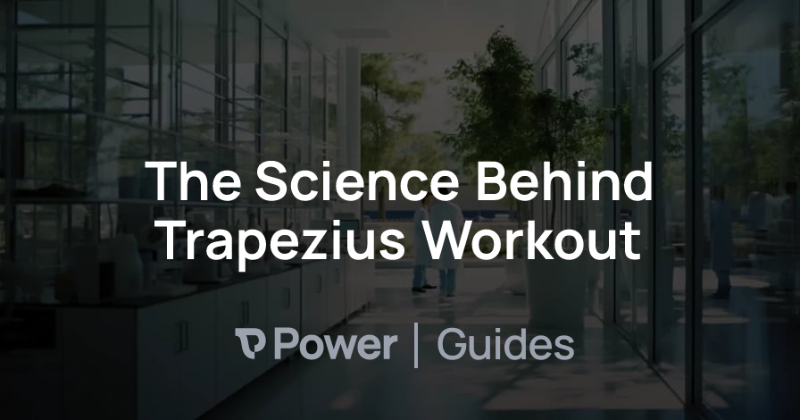 Header Image for The Science Behind Trapezius Workout