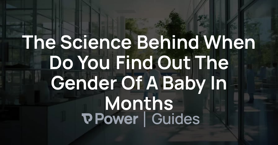 Header Image for The Science Behind When Do You Find Out The Gender Of A Baby In Months
