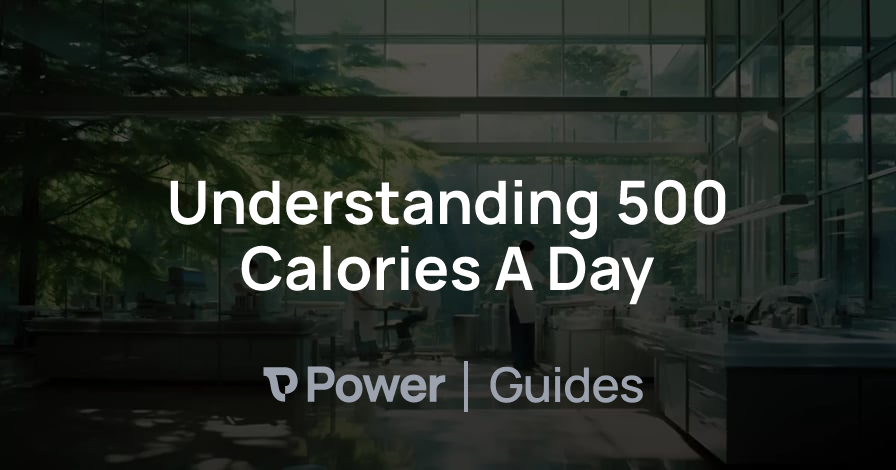 Header Image for Understanding 500 Calories A Day