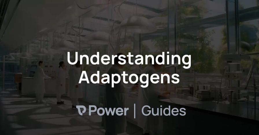 Header Image for Understanding Adaptogens