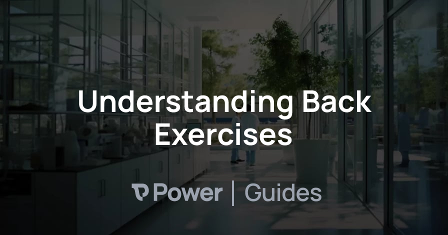 Header Image for Understanding Back Exercises