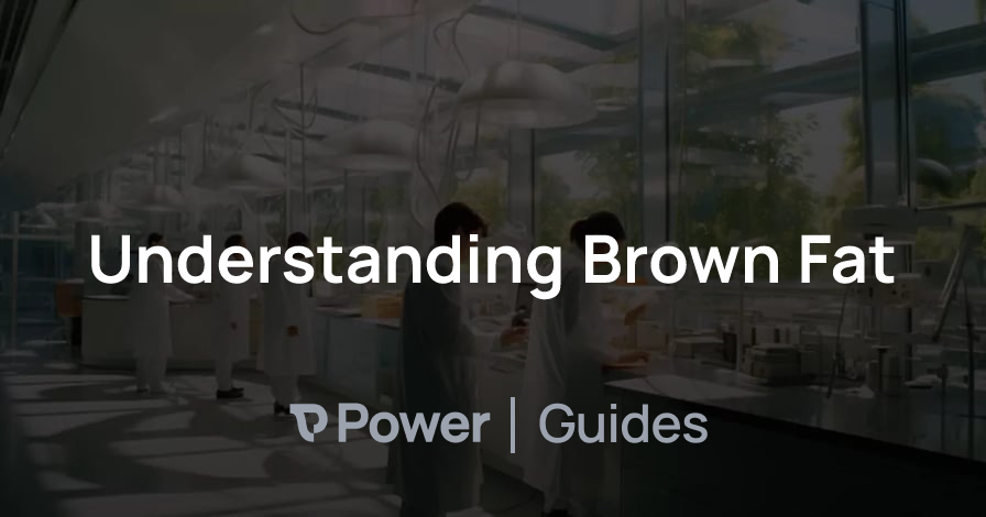 Header Image for Understanding Brown Fat