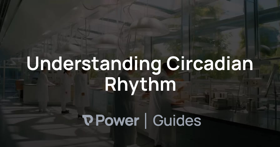 Header Image for Understanding Circadian Rhythm