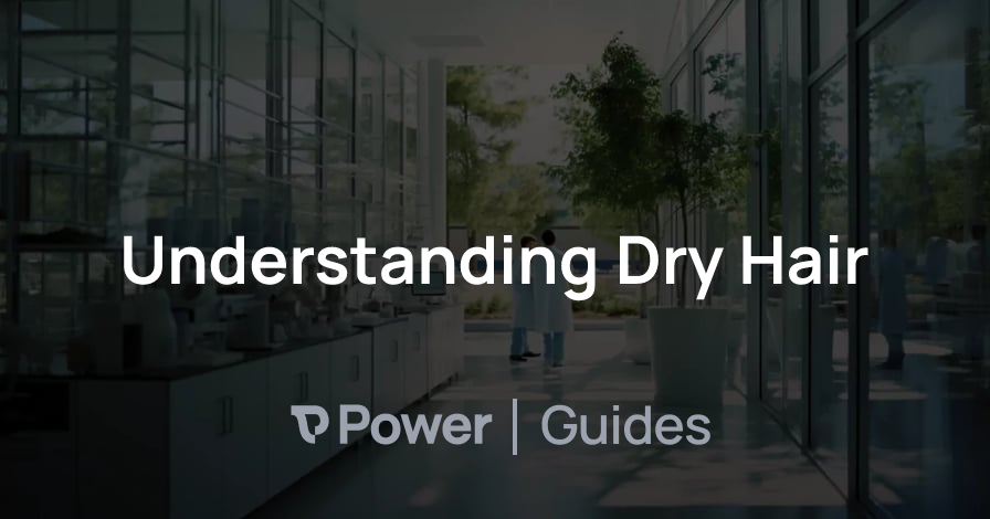 Header Image for Understanding Dry Hair