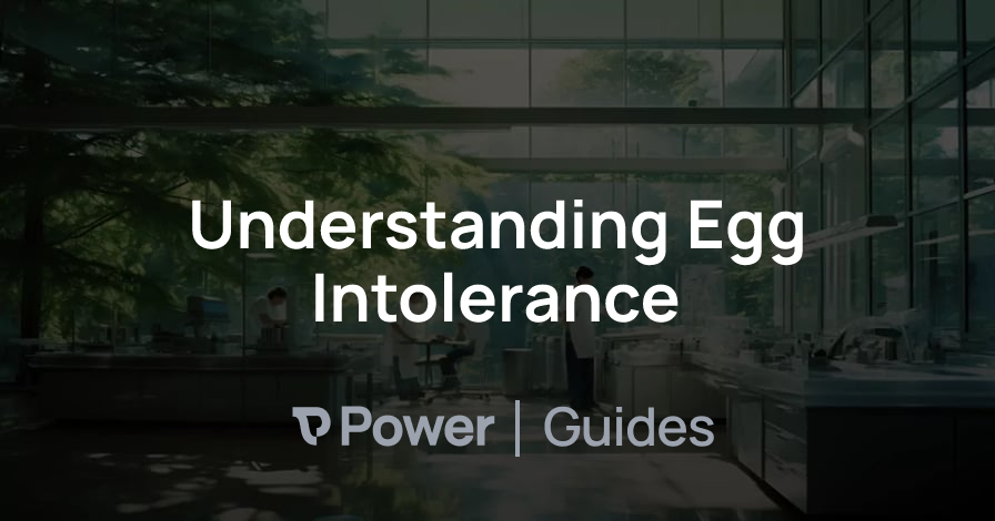 Header Image for Understanding Egg Intolerance