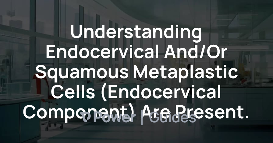 Header Image for Understanding Endocervical And/Or Squamous Metaplastic Cells (Endocervical Component) Are Present.