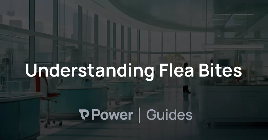 Header Image for Understanding Flea Bites