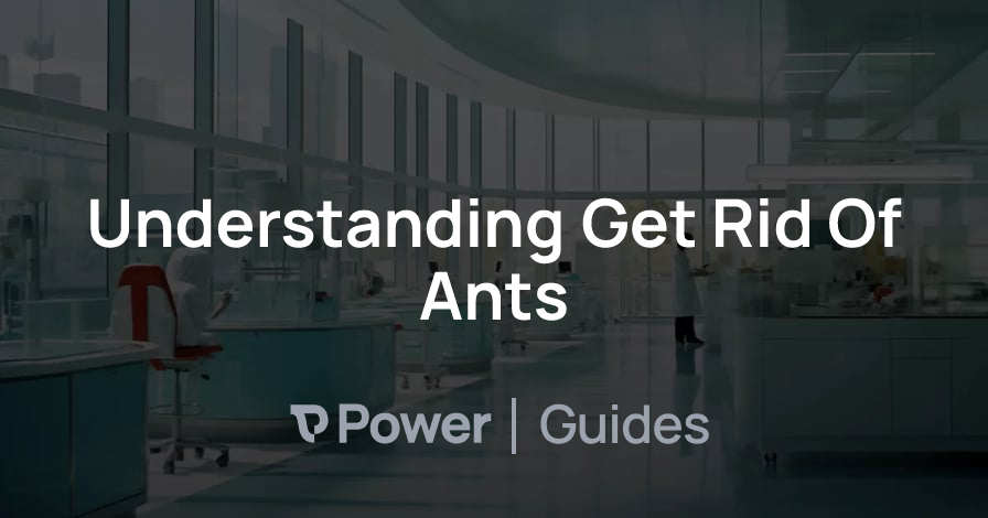 Header Image for Understanding Get Rid Of Ants