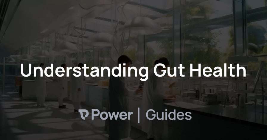 Header Image for Understanding Gut Health