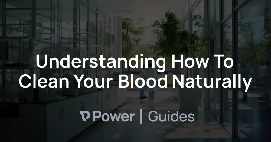 Header Image for Understanding How To Clean Your Blood Naturally