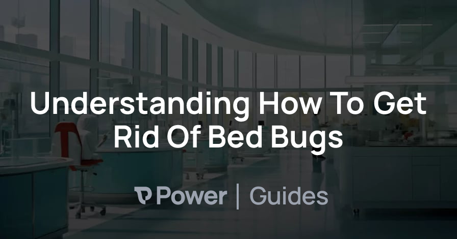 Header Image for Understanding How To Get Rid Of Bed Bugs