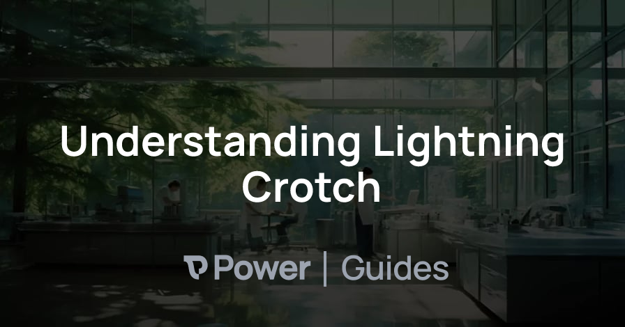 Header Image for Understanding Lightning Crotch