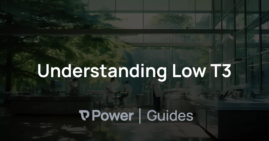 Header Image for Understanding Low T3