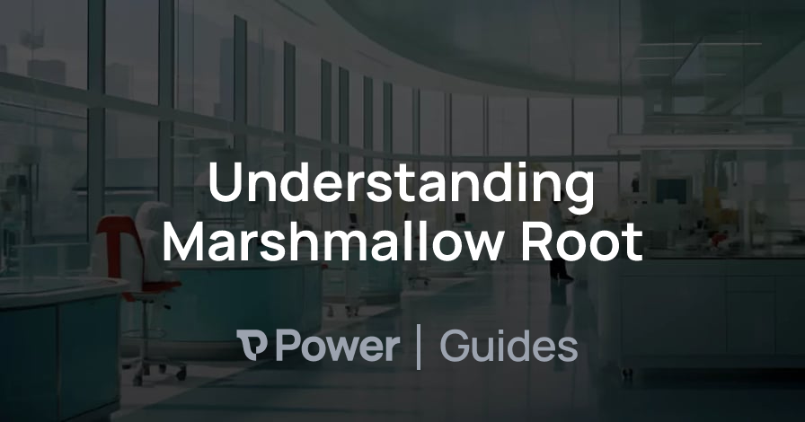 Header Image for Understanding Marshmallow Root