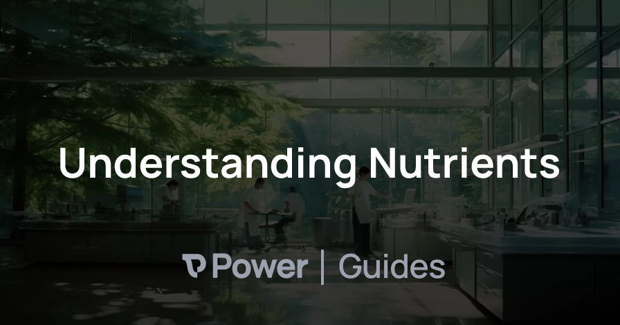 Header Image for Understanding Nutrients