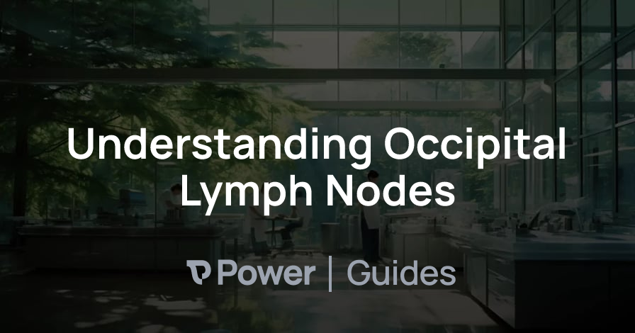 Header Image for Understanding Occipital Lymph Nodes
