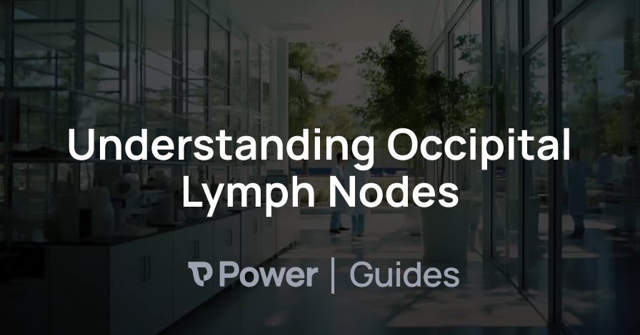 Header Image for Understanding Occipital Lymph Nodes