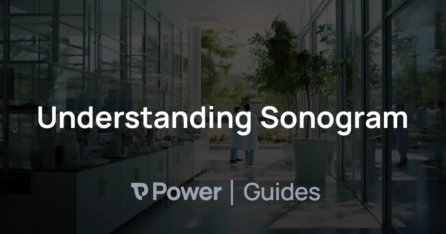 Header Image for Understanding Sonogram