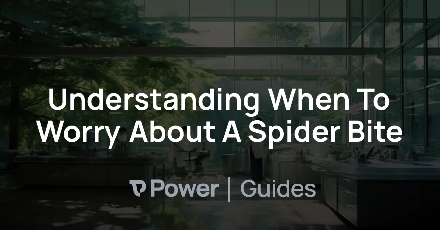 Header Image for Understanding When To Worry About A Spider Bite