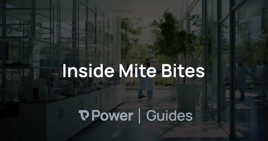 Header Image for Inside Mite Bites