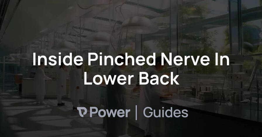 Header Image for Inside Pinched Nerve In Lower Back