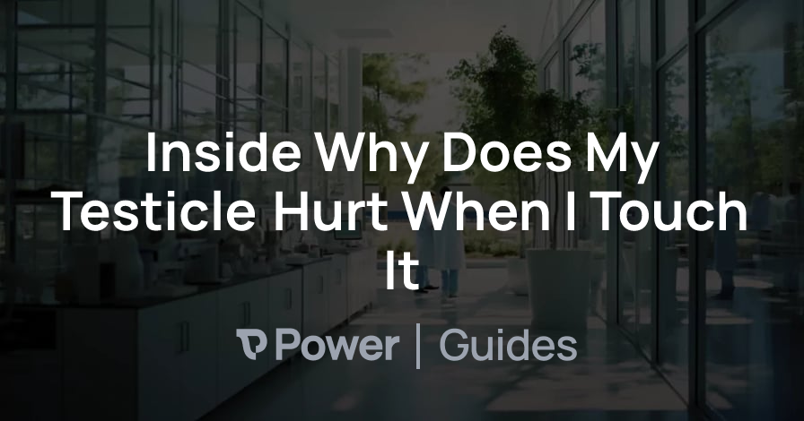 Header Image for Inside Why Does My Testicle Hurt When I Touch It