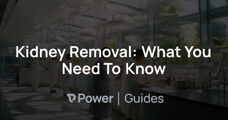 Header Image for Kidney Removal: What You Need To Know