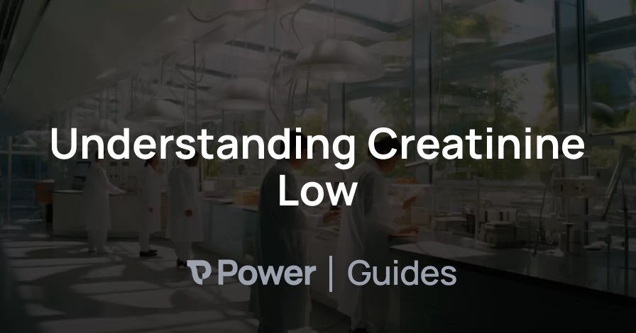 Header Image for Understanding Creatinine Low