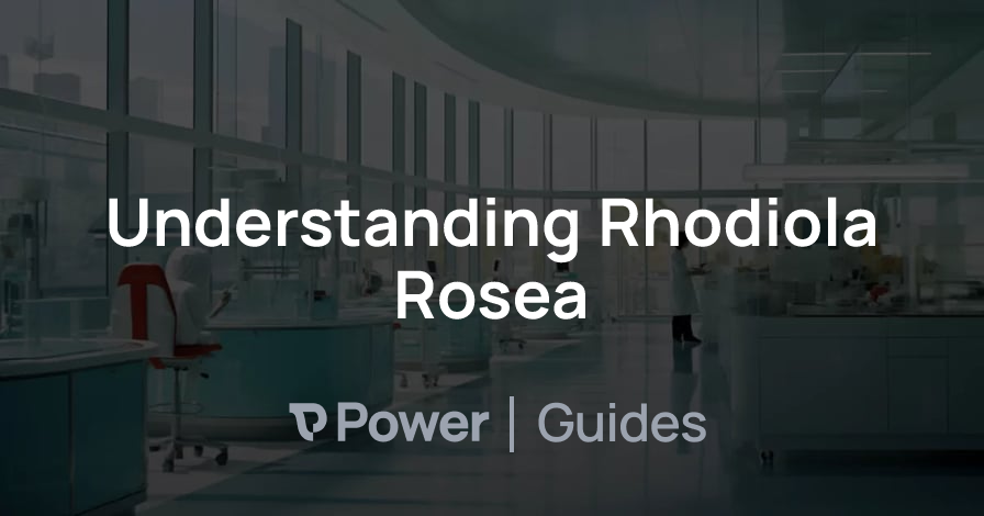 Header Image for Understanding Rhodiola Rosea